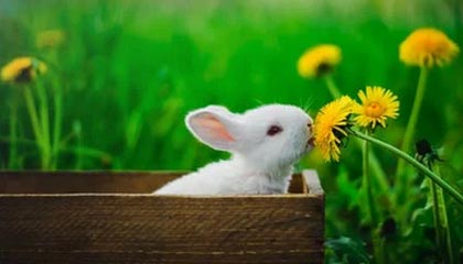 九游APP官网-曼城中场连续进球，展现强大实力，曼城中场核心是谁